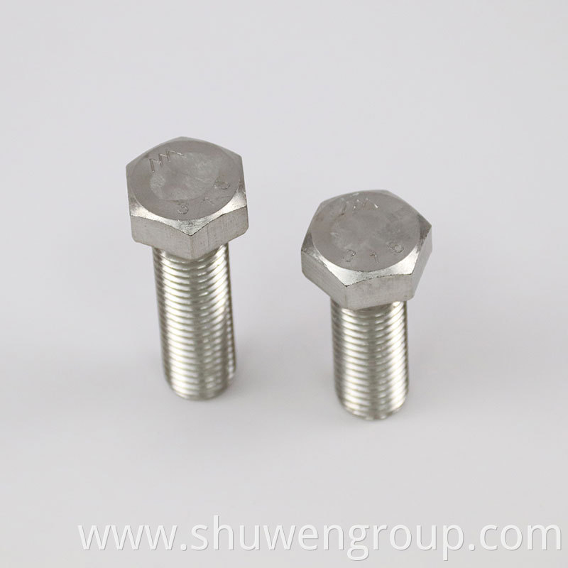 Stainless Steel 304 Hex Head Bolt